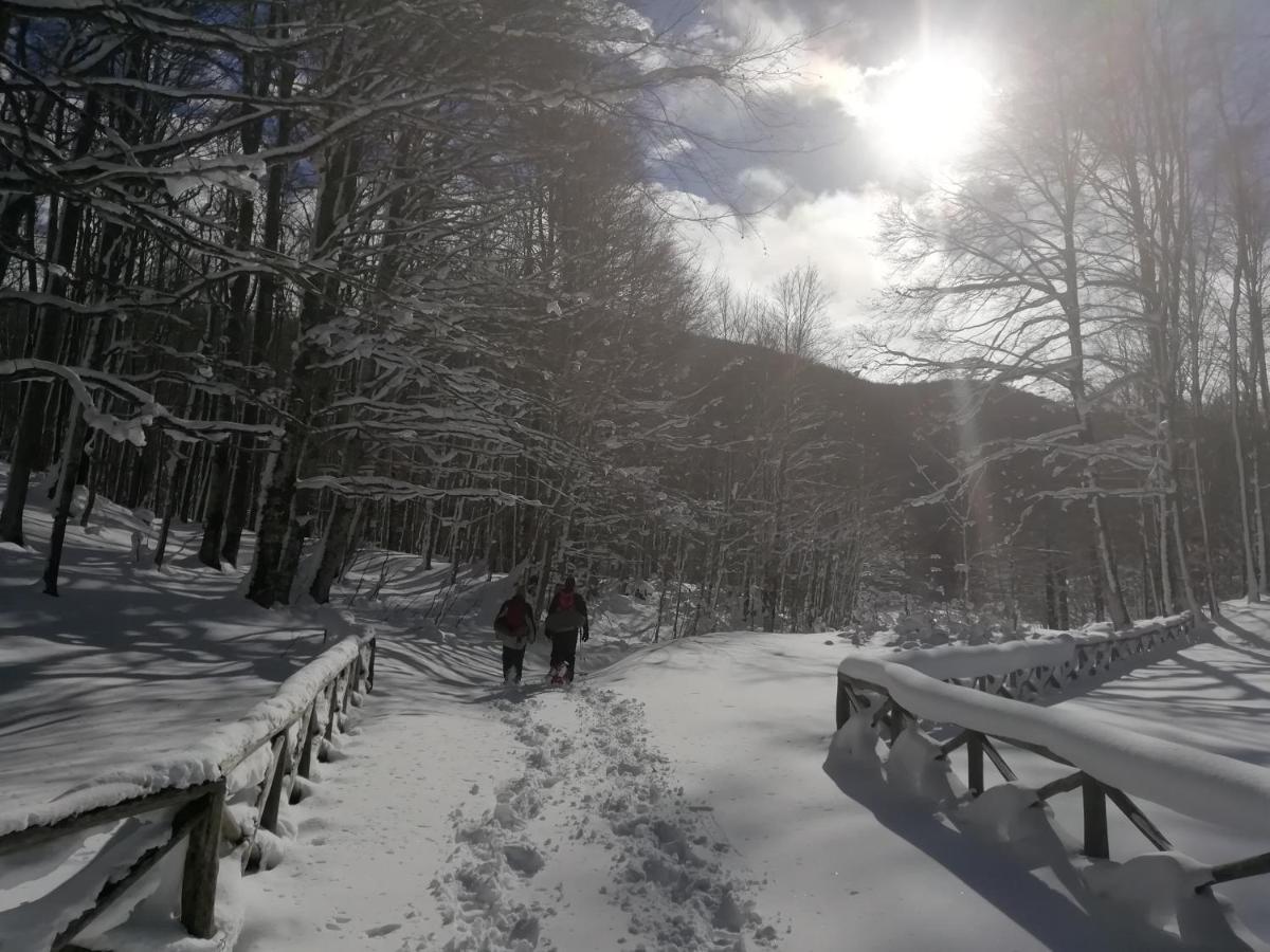B&B Il Buon Cammino Roccamandolfi Екстер'єр фото